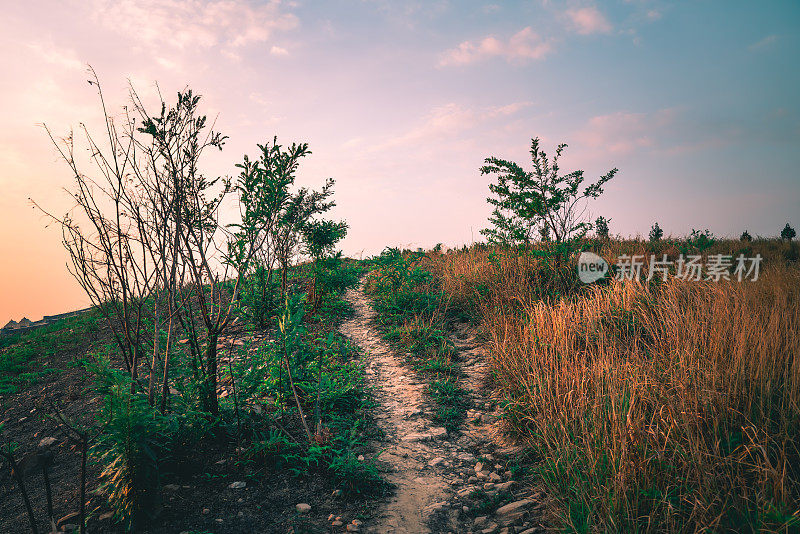 山间小路