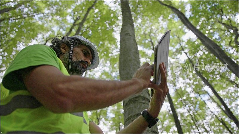 生态学家在野外工作。林务员检查森林中树木的自然状况，并采集样本进行深入研究。生态系统的保护和可持续性。