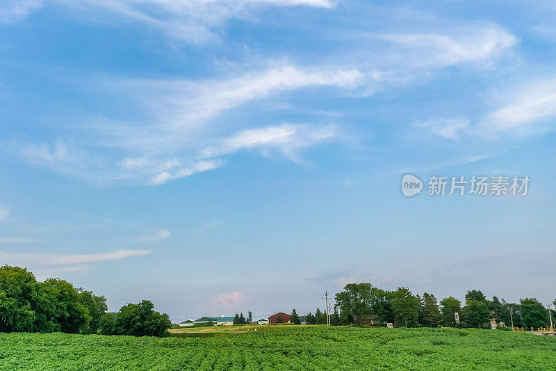 加拿大库克敦，夕阳下27号公路上的农场