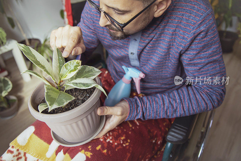 照顾室内植物