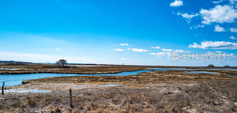 沼泽地,科德角