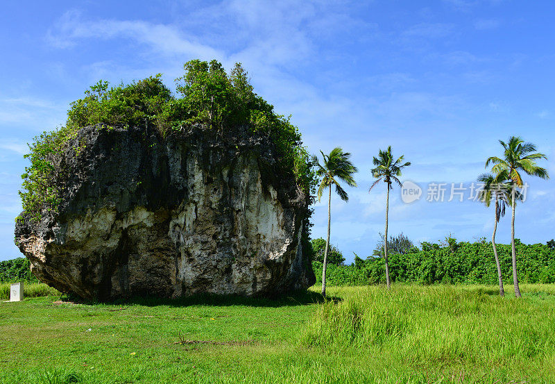 海啸岩，在汤加汤加塔普岛卡拉奥附近的巨大珊瑚石