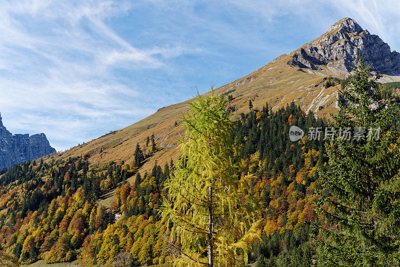 落在山间