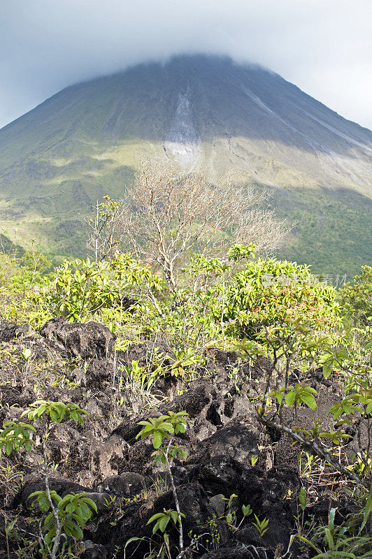 阿雷纳尔火山1968熔岩流，阿雷纳尔，哥斯达黎加。