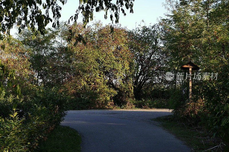 乡间小路