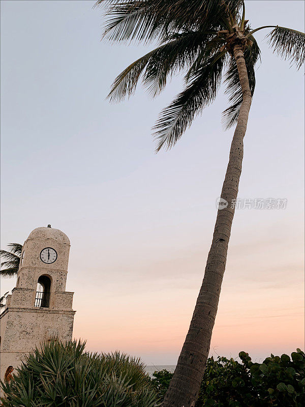 柔和的日落天空和微风轻拂的棕榈树在沃思大道钟塔在棕榈滩，佛罗里达州