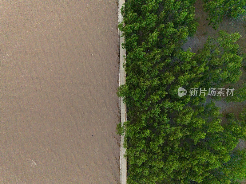 湄公河三角洲沿岸冲积红树林，上庄省