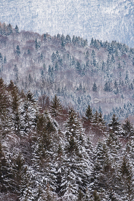 格拉巴山——冬季景观