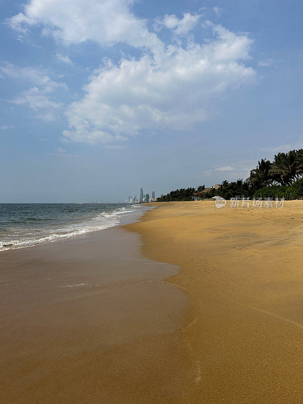斯里兰卡热带海滩的金色沙滩，异国情调的高大椰子树，从斯里兰卡科伦坡拉维尼亚山海滩上看到科伦坡市摩天大楼的海岸线视图