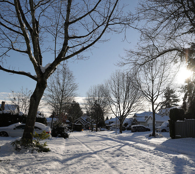 在加拿大萨里，一个绿树成荫的社区里下雪