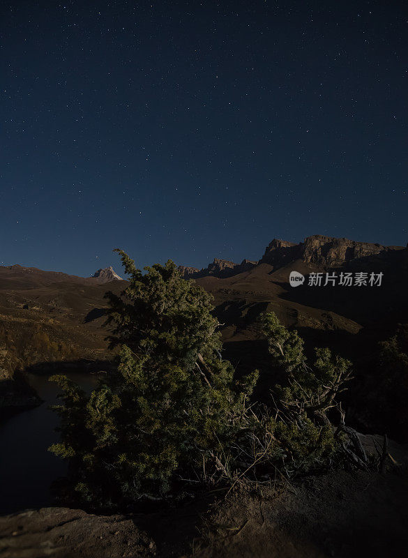 夜晚的杜松树丛在山间悬崖峭壁的映衬下，夜空的繁星和山间的岩脊，形成了夜间的杜松山景观