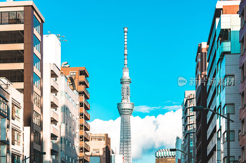 东京天空树俯瞰日本城市景观的屋顶