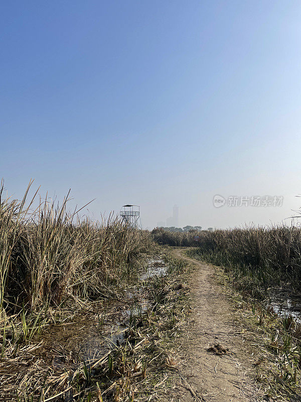 雀鸟保育区、湿地湖、野生动物保护区、环境保育的泥泞小径，蜿蜒穿过沼泽芦苇床