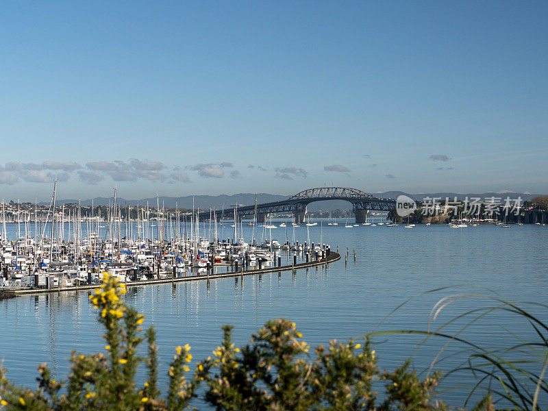 新西兰奥克兰的贝斯沃特码头和奥克兰海港大桥