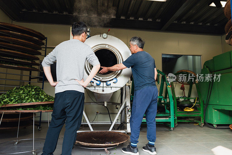 捕捉宁静的氛围，一个茶厂与茶师傅热干燥茶