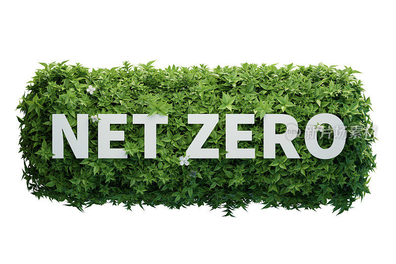NetZero对绿色丛林、可再生能源碳和企业ESG政府的概念