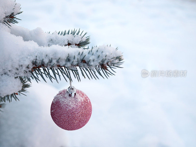 新年球在松枝上洒着雪。圣诞装饰。寒假