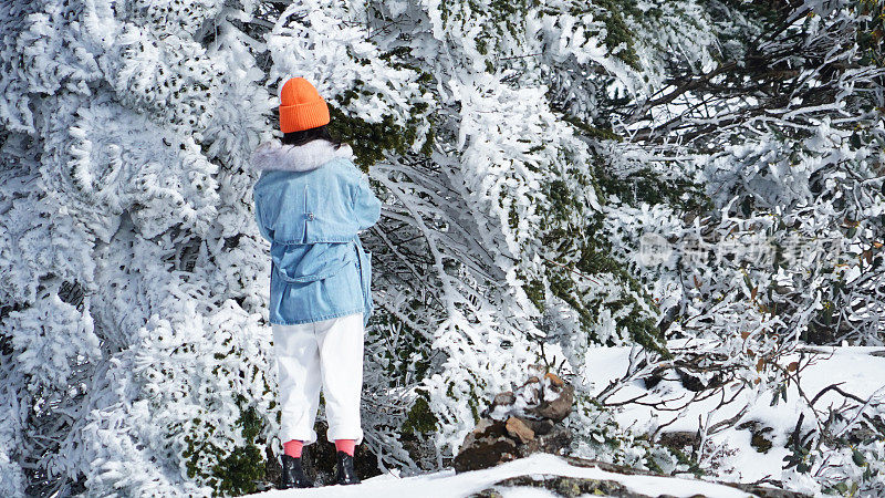 一个女人在寒冷的天气里穿行于白雪覆盖的山林之中