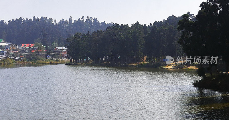 位于印度西孟加拉邦大吉岭区的喜马拉雅山麓地带，松树林环绕着美丽的mirik湖景色
