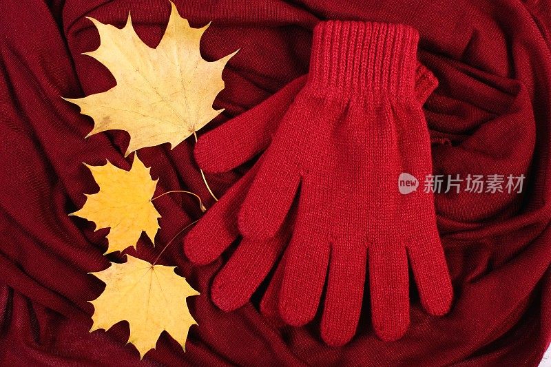 女人的手套和秋天的叶子在紫红色的披肩背景