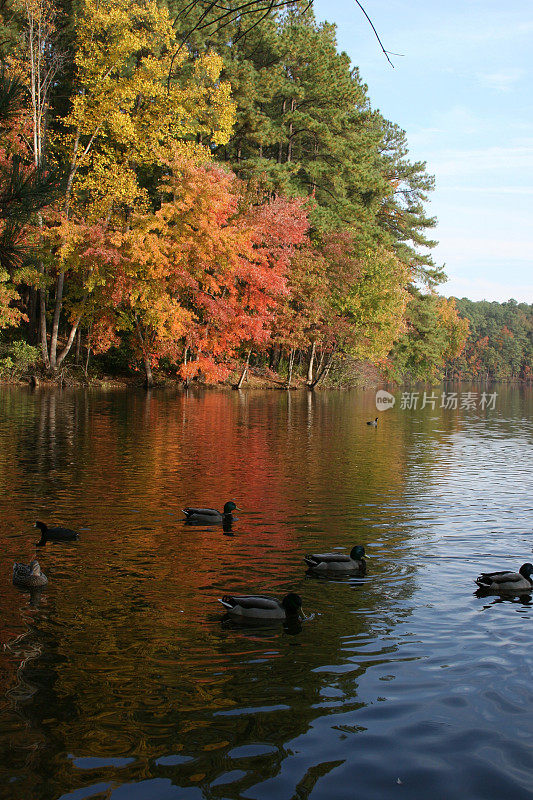 湖上的秋天