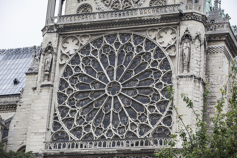 巴黎圣母院的玫瑰窗