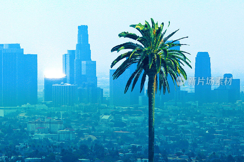 洛杉矶加州天际线棕榈树