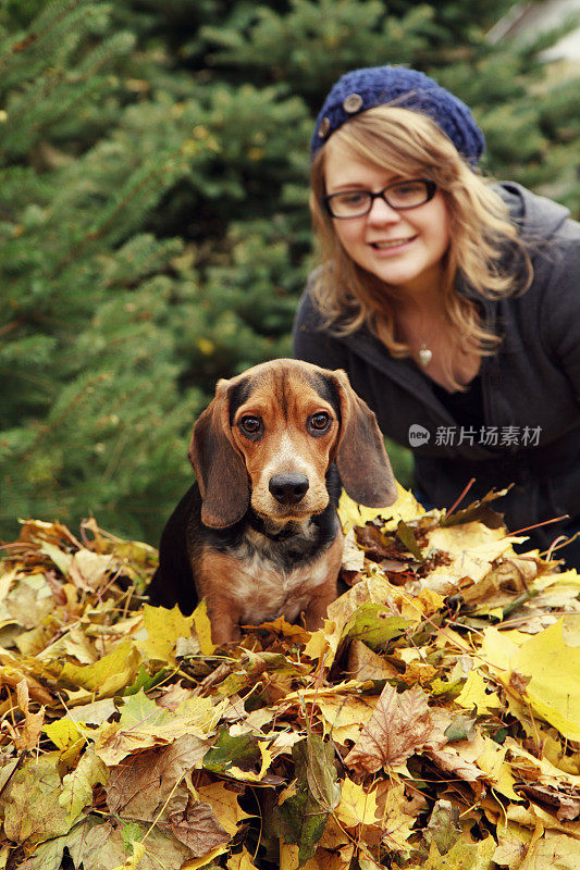 秋天里的年轻女人和她的小猎犬