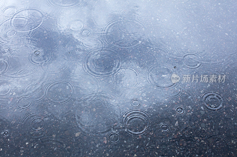 下雨了。水在潮湿的柏油路上泛起涟漪。