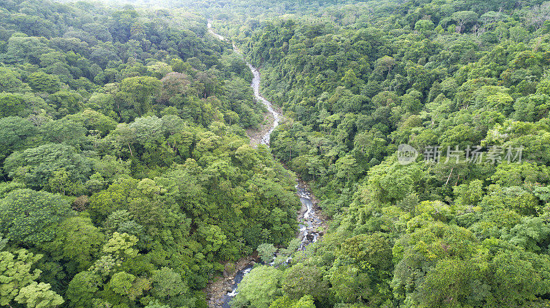 热带雨林和河流，哥斯达黎加