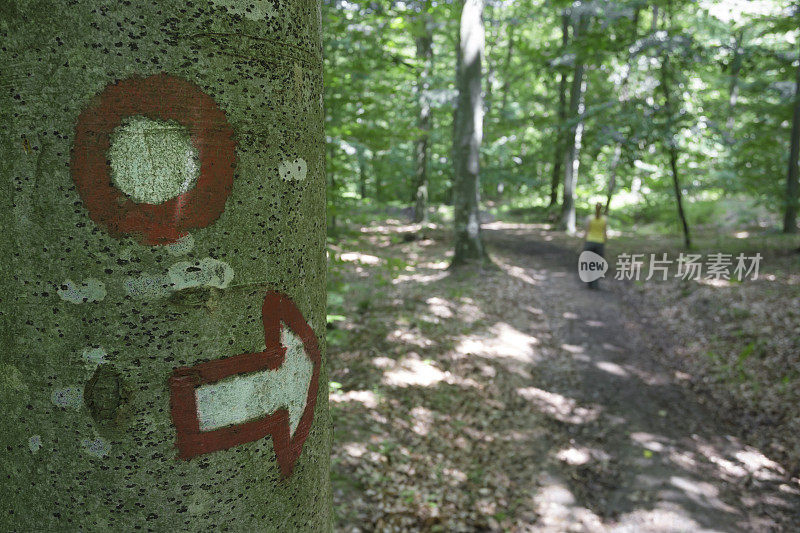 徒步树标志i森林与徒步女孩经过