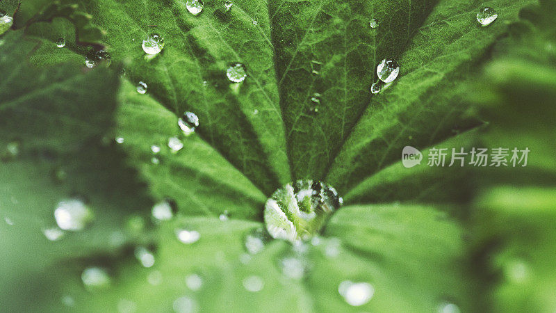 雨过天晴