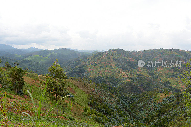 卢旺达基贝霍地区的农村