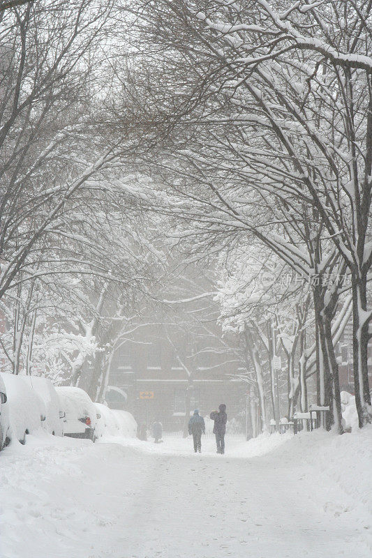 纽约布鲁克林暴风雪街