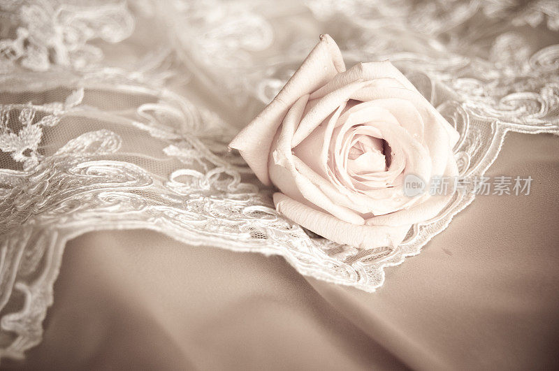 婚纱上的旧玫瑰