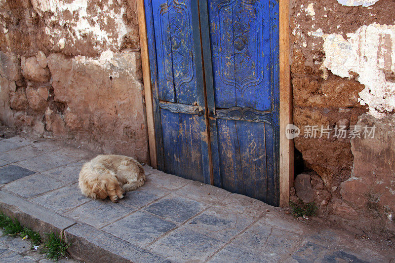 秘鲁:库斯科沉睡的狗
