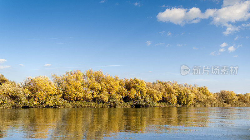 多瑙河三角洲秋季景观