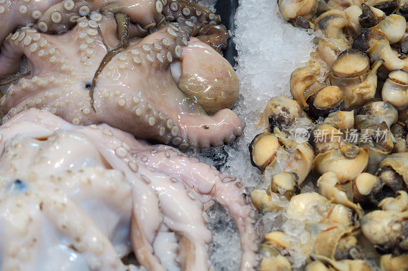 墨西哥海鲜市场冰冻的章鱼和软体动物