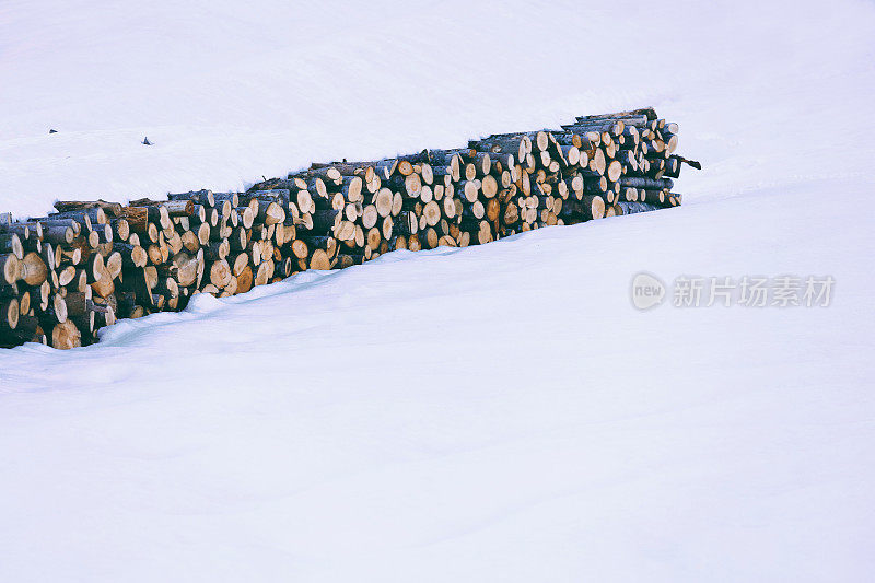 积雪下堆放的原木