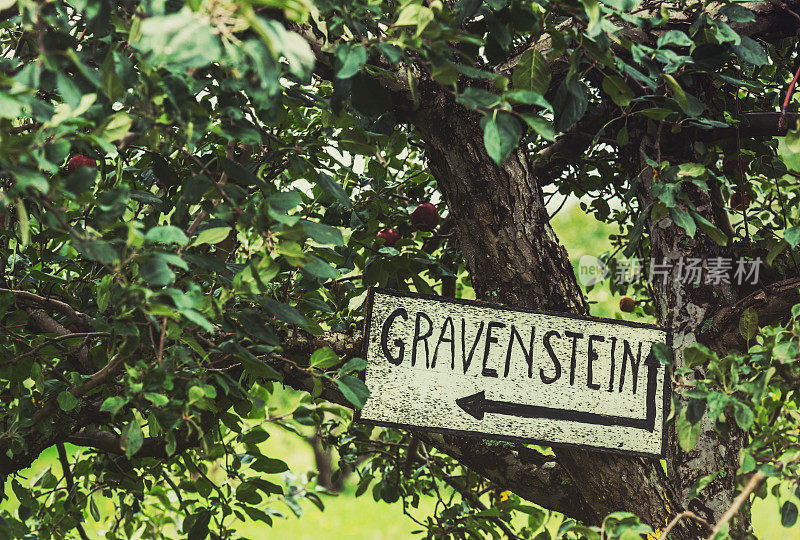 Gravenstein苹果