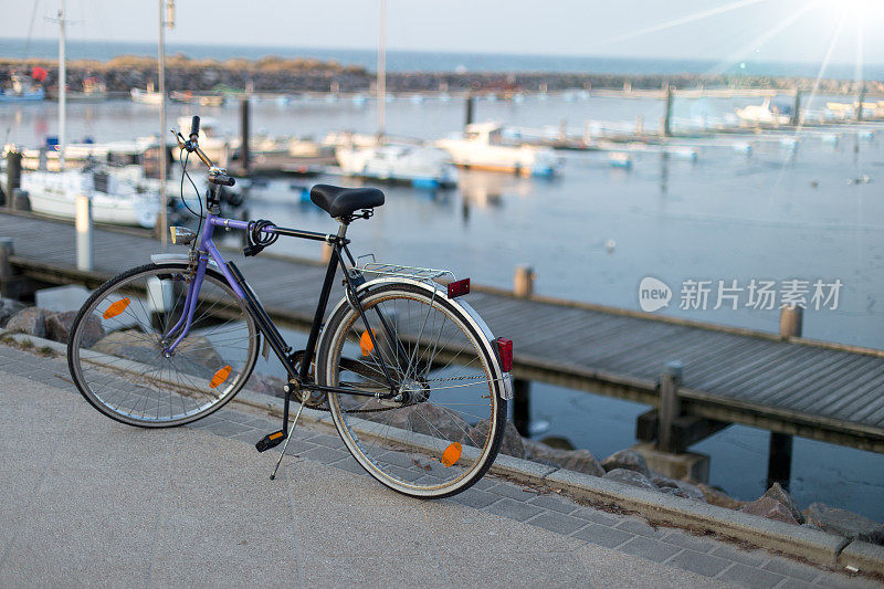 一幅在结冰的海上码头前的自行车肖像