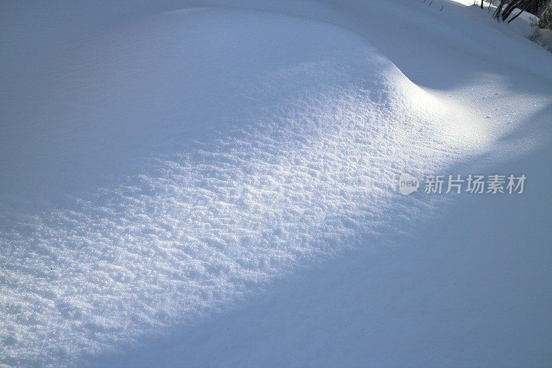 冬日的太阳在黑森林