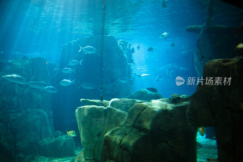 水族馆