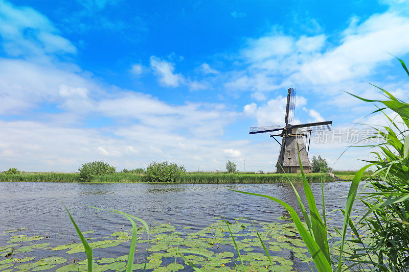 Kinderdijk的传统荷兰风车