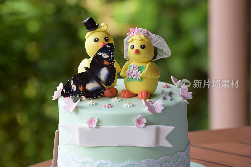 特写的滑稽的婚礼蛋糕的鸭子和蝴蝶