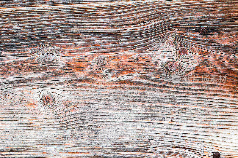 Brut老木打结自然的背景纹理饱满的框架