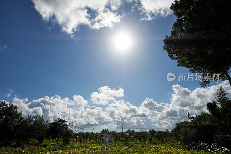 太阳在绿色的田野和树木上方的天空