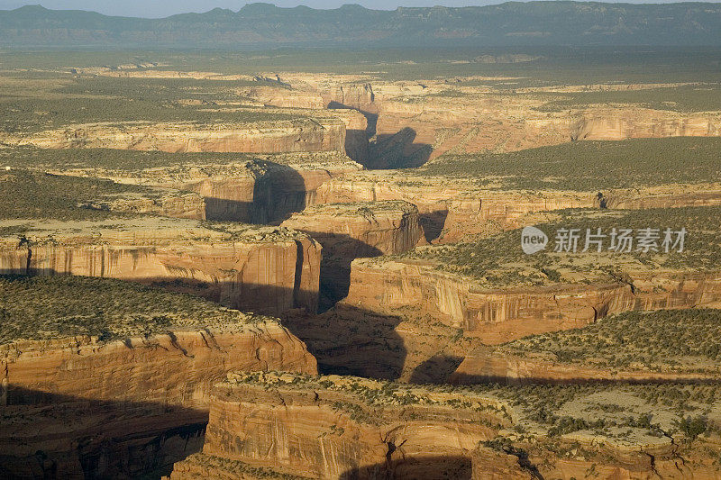 峡谷De秋儿