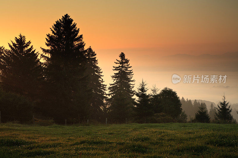 黎明时朦胧的风景