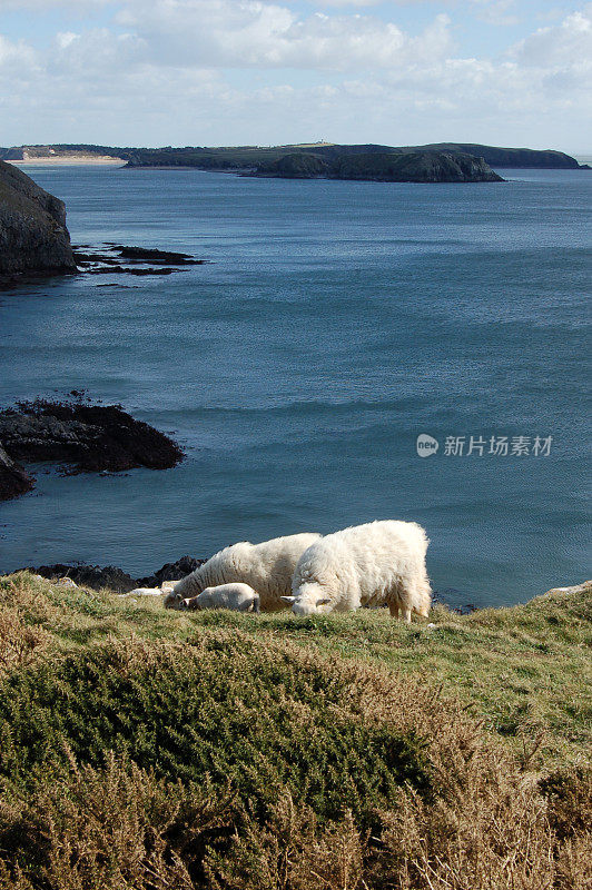 彭布鲁克郡海岸